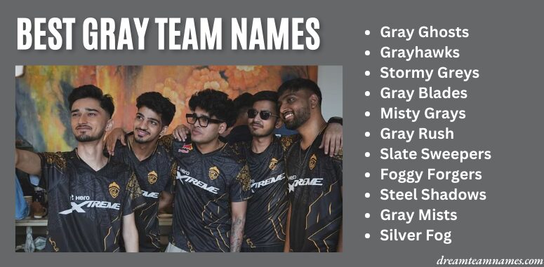 Best Gray Team Names