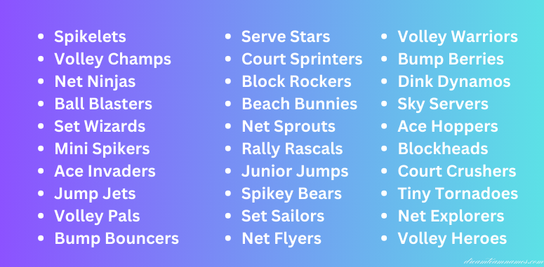 Volleyball Team Names for Kids